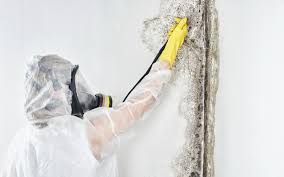 Mold Remediation for Vacation Homes in Cheswick, PA